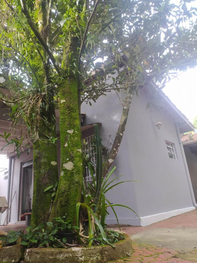Casa Nespera Homestay